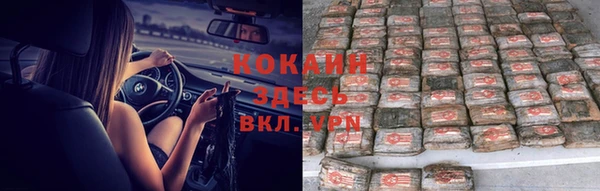 PSILOCYBIN Киренск