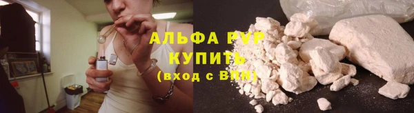 PSILOCYBIN Киренск