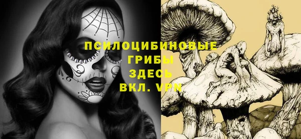 PSILOCYBIN Киренск