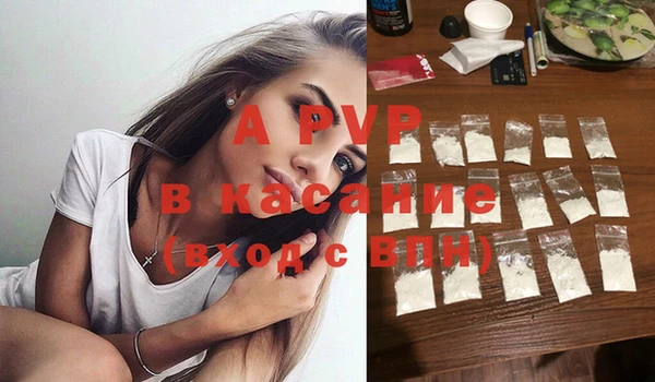 PSILOCYBIN Киренск