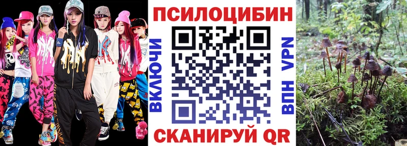 Купить закладки Нытва Галлюциногенные грибы Cubensis